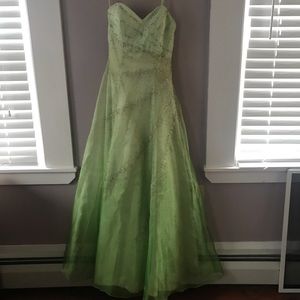 Beautiful green dressing with veil overlay